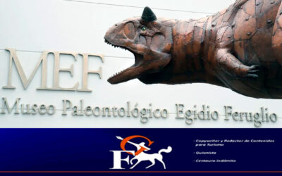 MEF, UN MUSEO QUE EVOLUCIONA