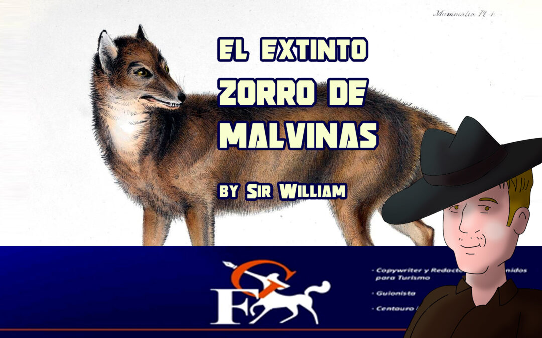 Dusicyon Australis, un malvinense de pura cepa.