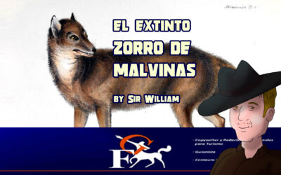 Dusicyon Australis, un malvinense de pura cepa.